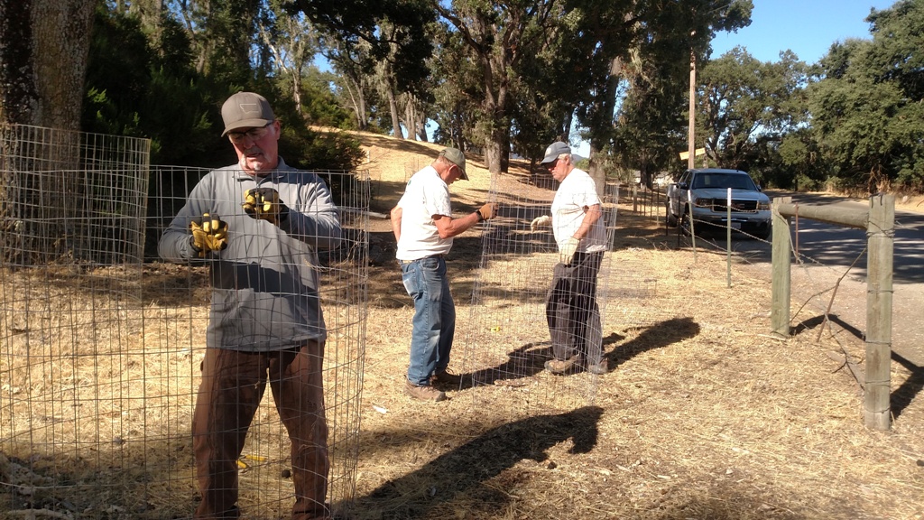 Pat, Cory and Dave building more cages.